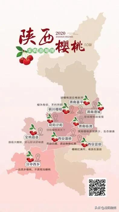 吃樱桃的注意事项图文,吃樱桃的注意事项