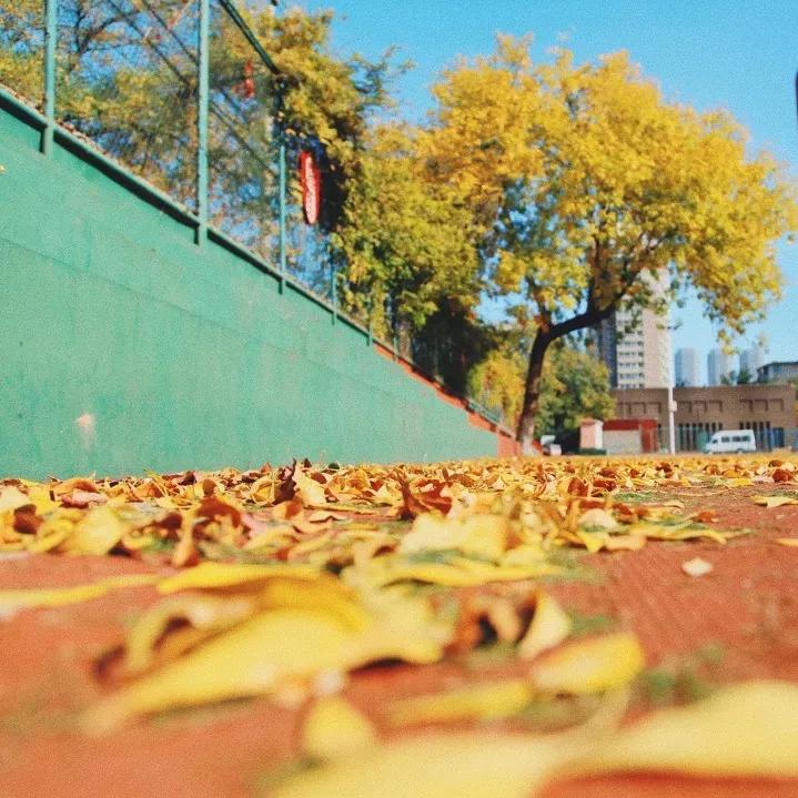 天津市耀华中学冯耀忠,天津市耀华中学招聘