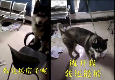 公交车坠江完整视频公交车翻车,2018年公交车司机开车坠江事件