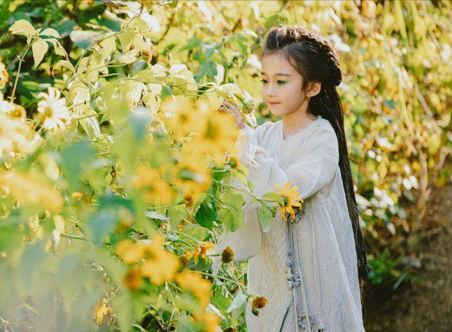 看完司藤后看哪部电视剧,看完司藤还爱看什么