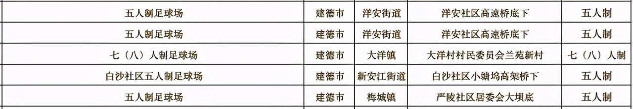 杭州亚运足球场地,杭州有没有标准的足球场