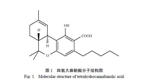 神奇！工业*麻大**，一种让投资者兴奋的*麻大**