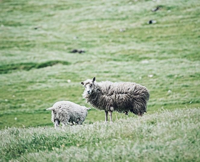 法罗群岛遗世秘境,北大西洋法罗群岛美景