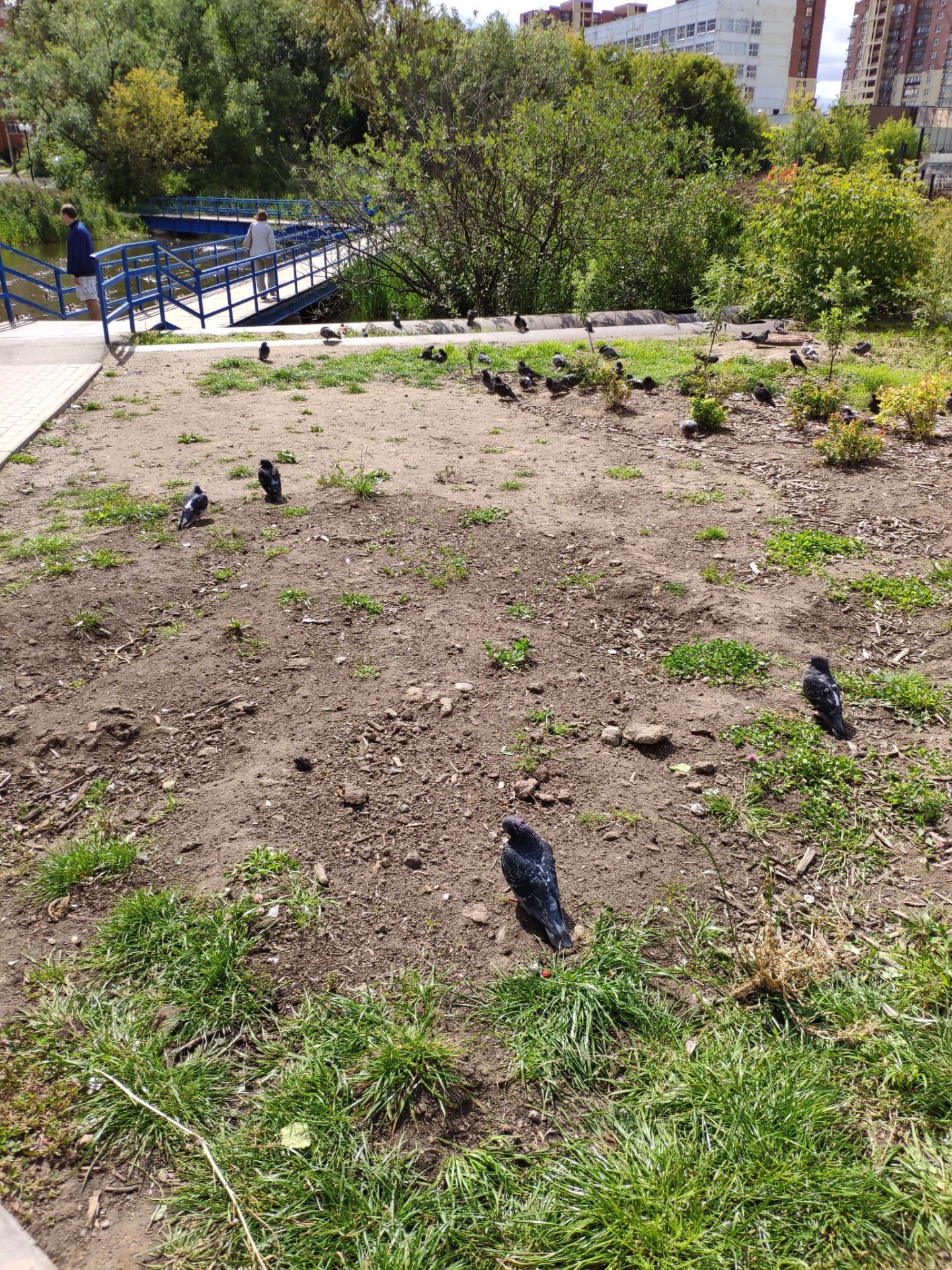 有什么你去了德国才知道的事情,去俄罗斯有什么可值得买的