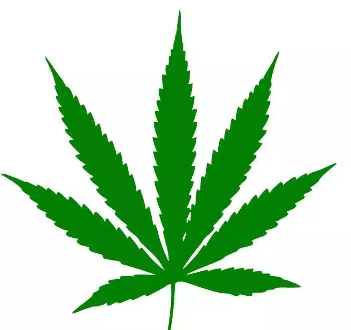 在美国大量购物回国合法吗,美国华人入境携带物品