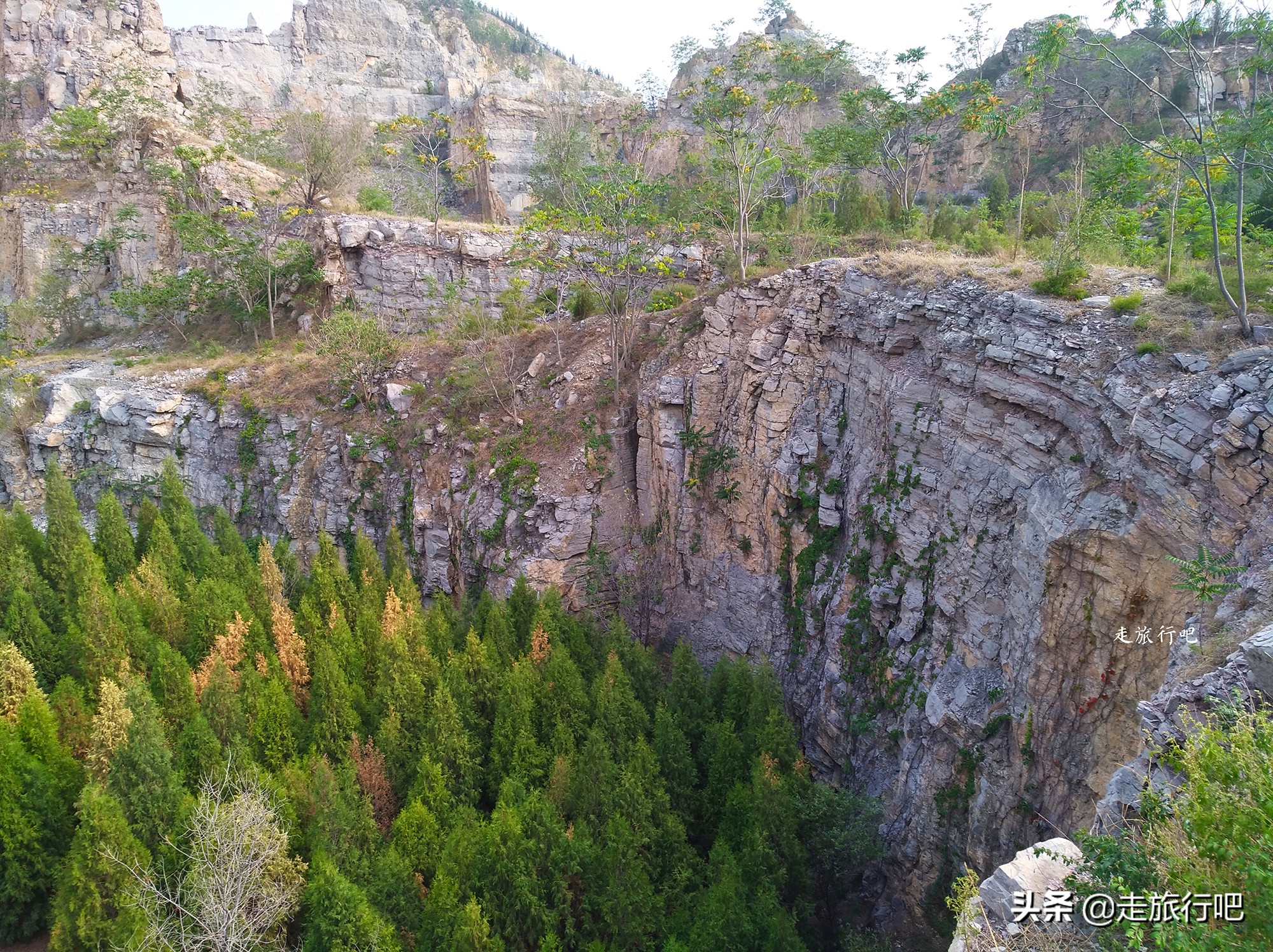 新乡凤凰山森林公园坐几路公交车,凤凰山森林公园新乡怎么开车上去