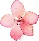 校园欺凌检察官怎么办,遇到校园欺凌如何依法维权