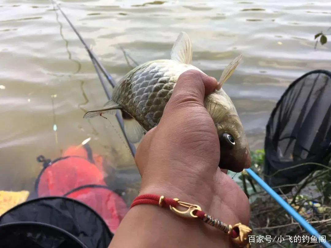 初学者一套钓鱼装备多少钱,新手买钓鱼套装多少钱