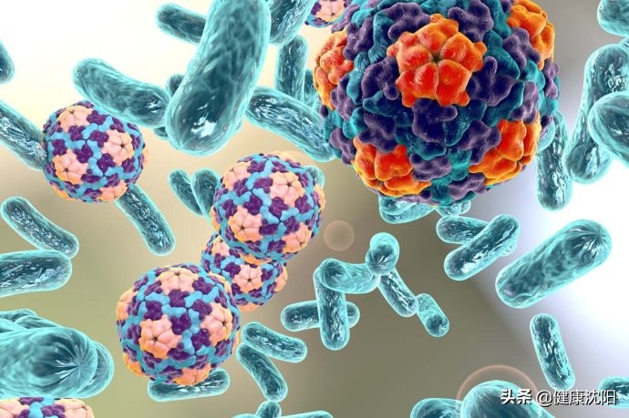 泌尿系感染健康科普图片,尿路感染健康宣教案例