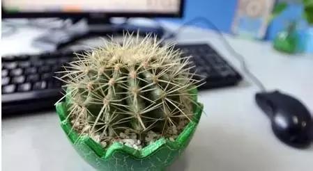 娆洪獥浣犲骞寸殑灏忕煡璇嗙粓浜庢壘鍏ㄤ簡,閭ｄ簺楠楄繃鎴戜滑鐨勫皬甯歌瘑