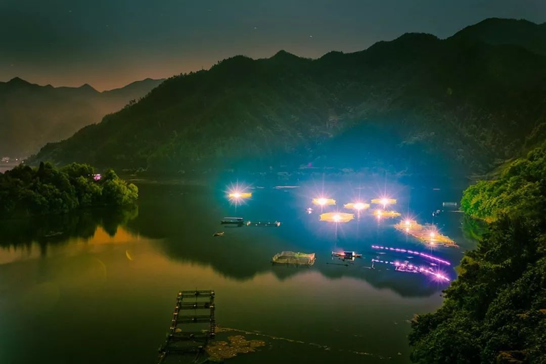 秘境蜘蛛恐惧症任务,破碎之地秘境剧毒蜘蛛怎么打