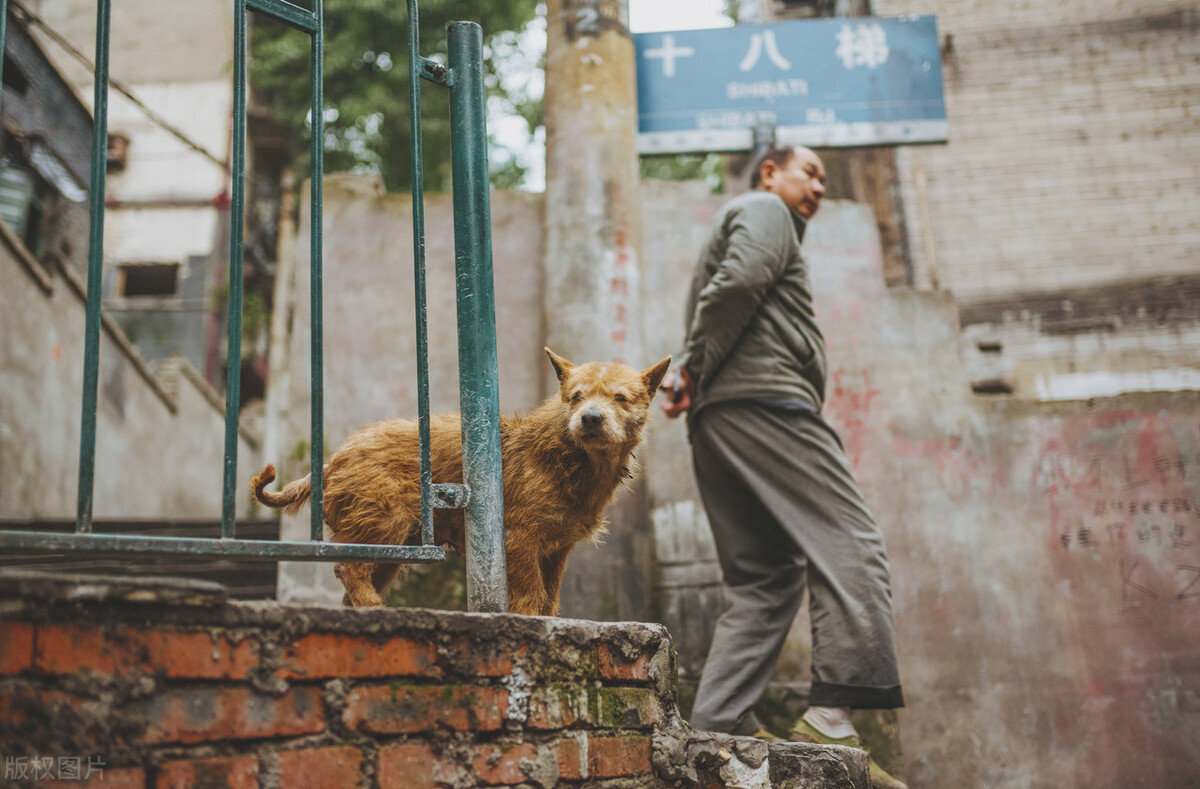 长江索道游玩重庆轨道交通2号线,重庆轨道交通2号线游玩攻略