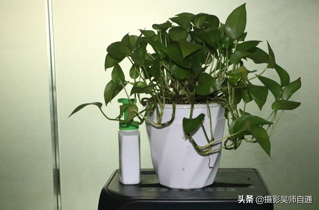 新手小白如何上手相机的各项功能,相机的各个功能介绍