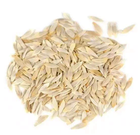 常见蔬菜种子催芽方法,蔬菜种子催芽小技巧