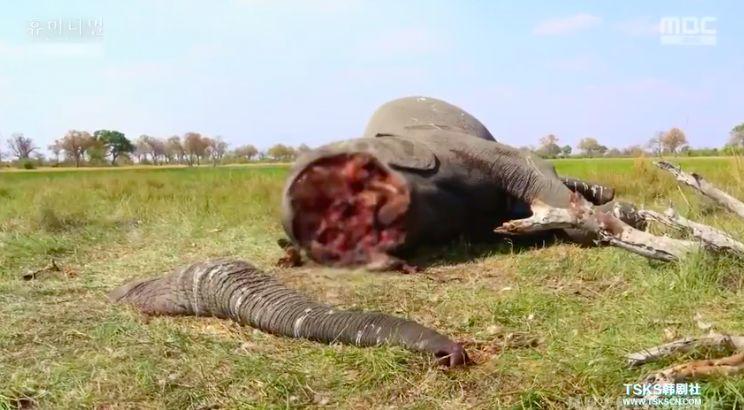 9.4分韩国催泪电视剧,韩国十部9.5评分催泪电影