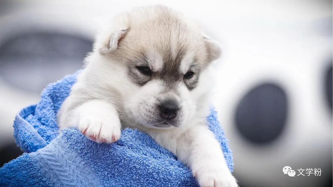 私教文案吸引人朋友圈,项链文案朋友圈吸引人