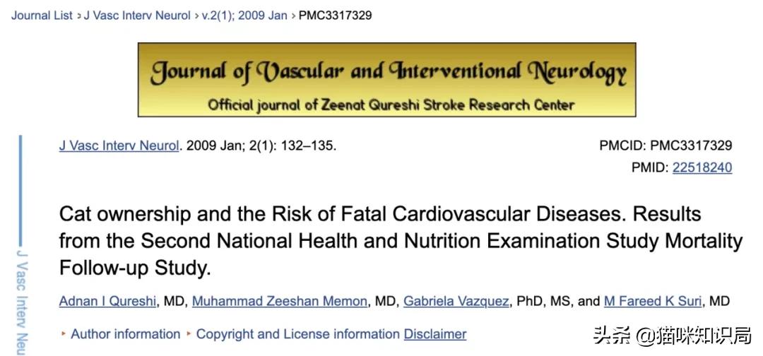 给父母养狗养什么样的,给家里养猫的好处