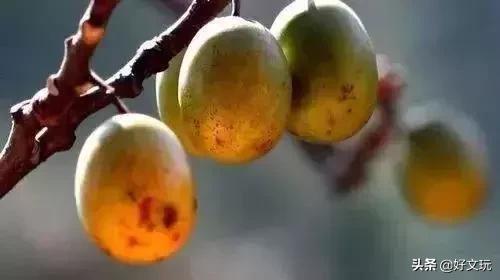 十大药补手串图片,文玩十大灵性手串排名