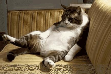 一群外国人打飞的看中医,老外飞中国看病