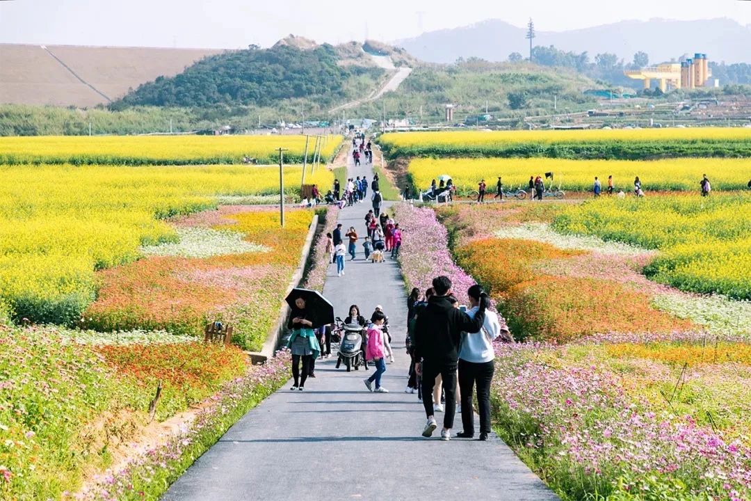 2021深圳免费适合遛娃玩地方排名,深圳免费游玩景点推荐