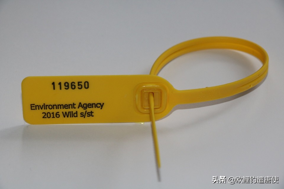 别人家的作业——英国钓鱼证制度