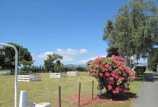 从新西兰的甜椒论个卖看我国农民如何挣钱：高品质高价格