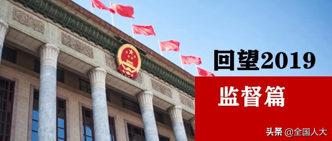 独家调研深度解析,专题调研方式