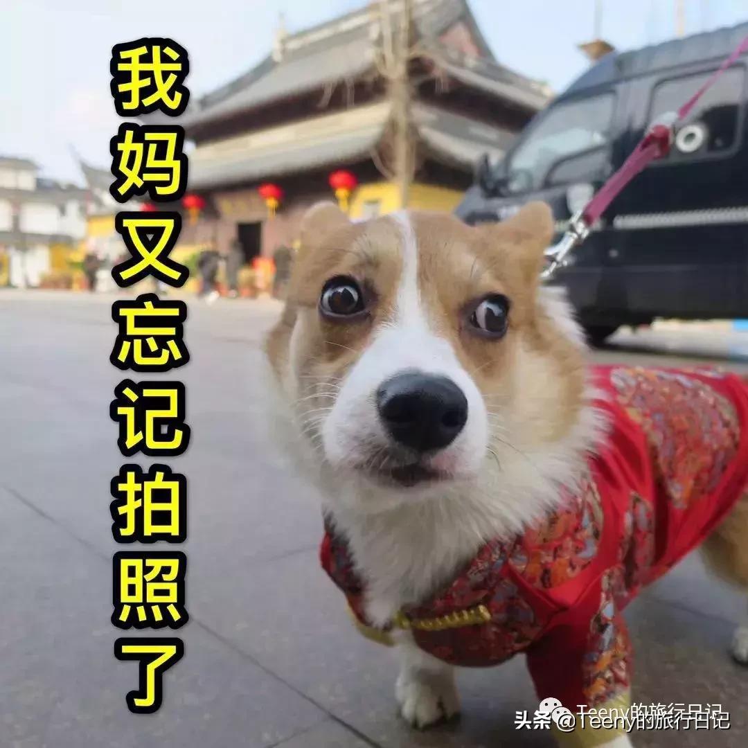 苏州小天堂,苏州旺山风景区攻略