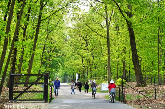 10日荷兰自由行攻略3，在自由包容的国度里浪漫放飞自我