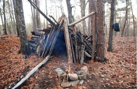 假如世界末日只能救一个人,假如末日来临你只能解救一个动物