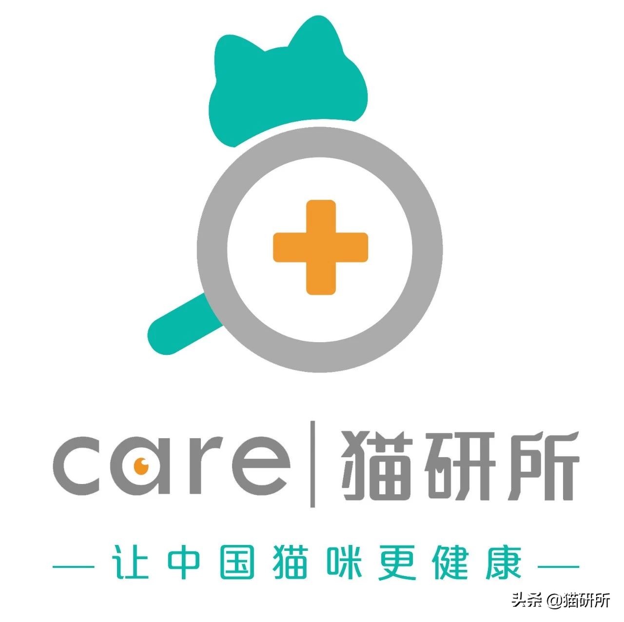 两个月的猫咪吃泡粮好还是干粮,猫咪喂粮应该都喂些什么