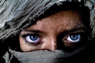 苹果最好看的照片,哪款iphone拍出来的照片更好看