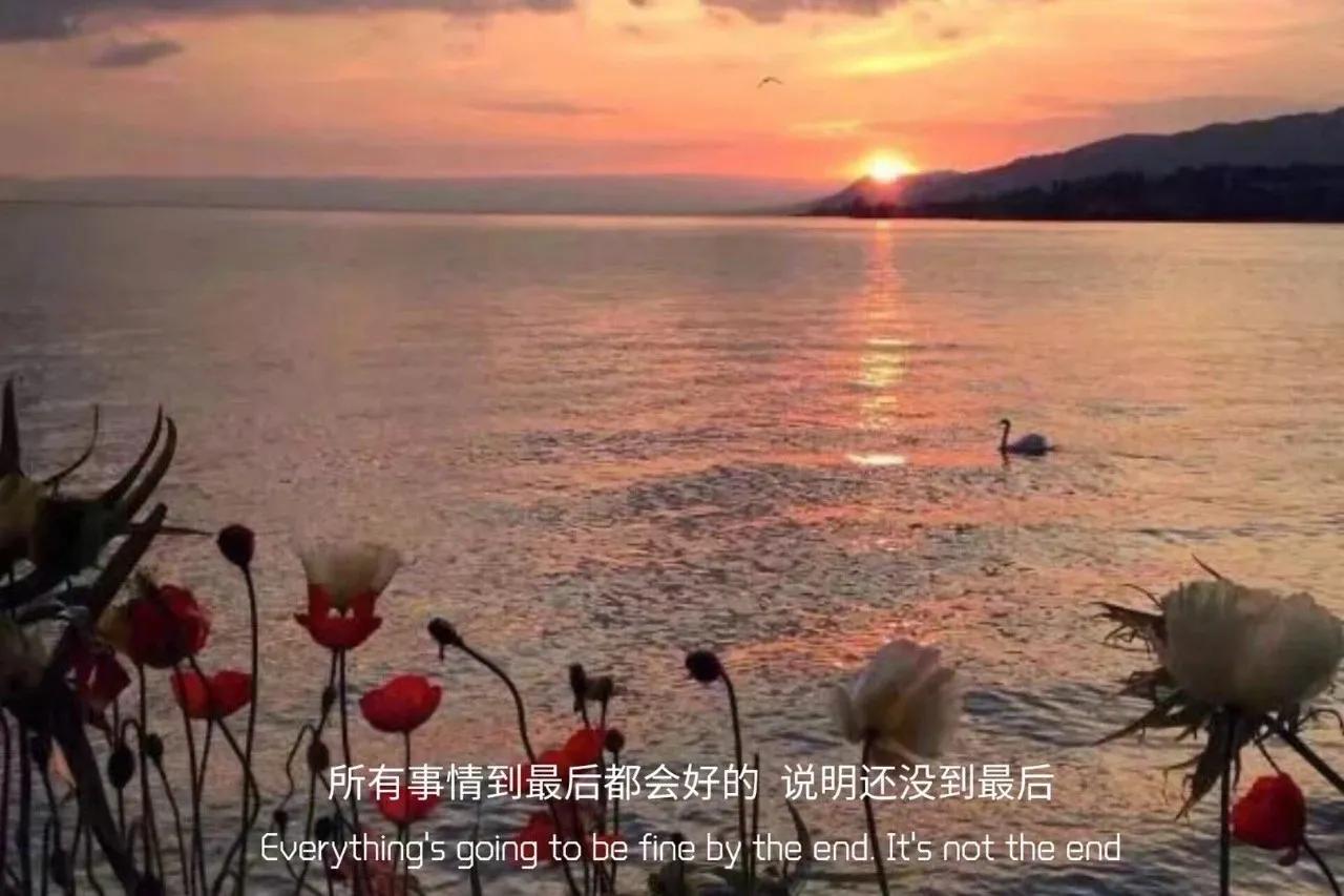 后来我抽的烟还是长白山只是如果没有的话芙蓉王也行