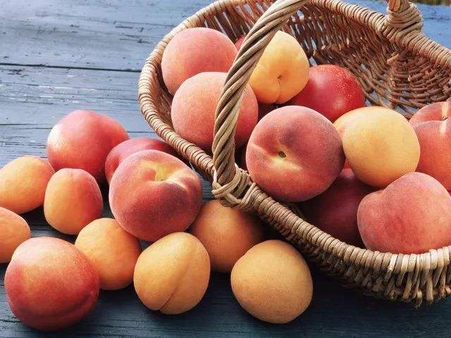 福安穆阳水蜜桃一般可以放几天,穆阳县水蜜桃特产