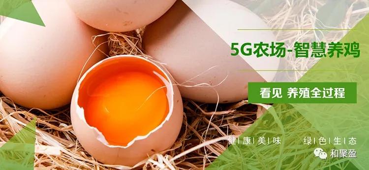 月子的人吃公鸡好还是母鸡好,产后第一天吃公鸡有什么好处