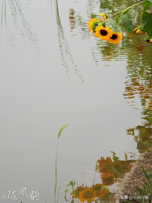 单车骑行无锡,无锡单车骑行路线