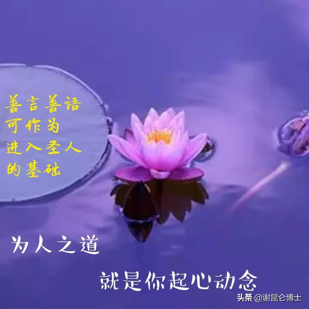 蹇冩槸绌虹殑涓栫晫涔熸槸绌虹殑,蹇冩槸绌虹殑