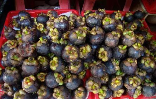 海南必吃十种水果图片名称,海南水果品种大全排名