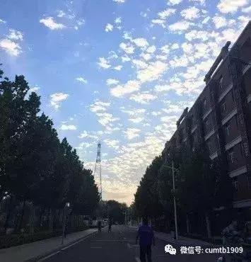 这个夏天,我在沙河都挺好!