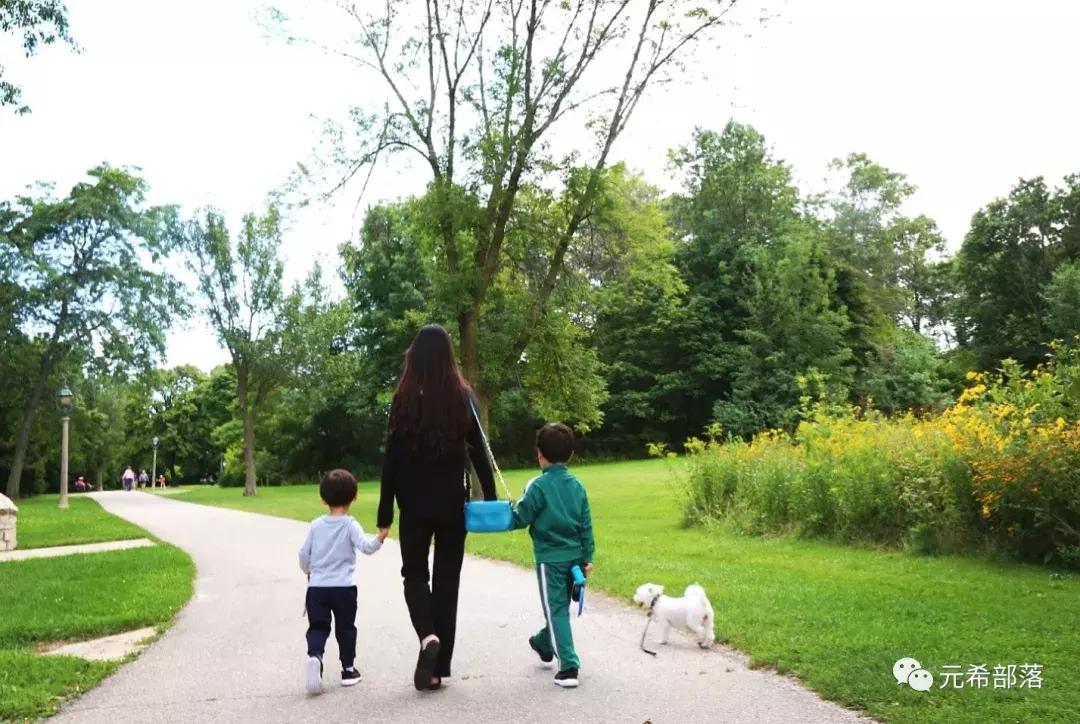 芝加哥及周边的好去处,芝加哥周边游玩
