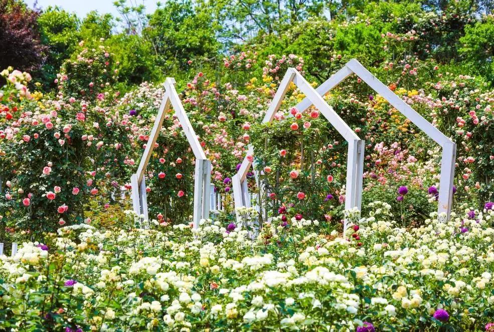 周边有什么可逛的地方吗,4月适合去哪儿旅游攻略