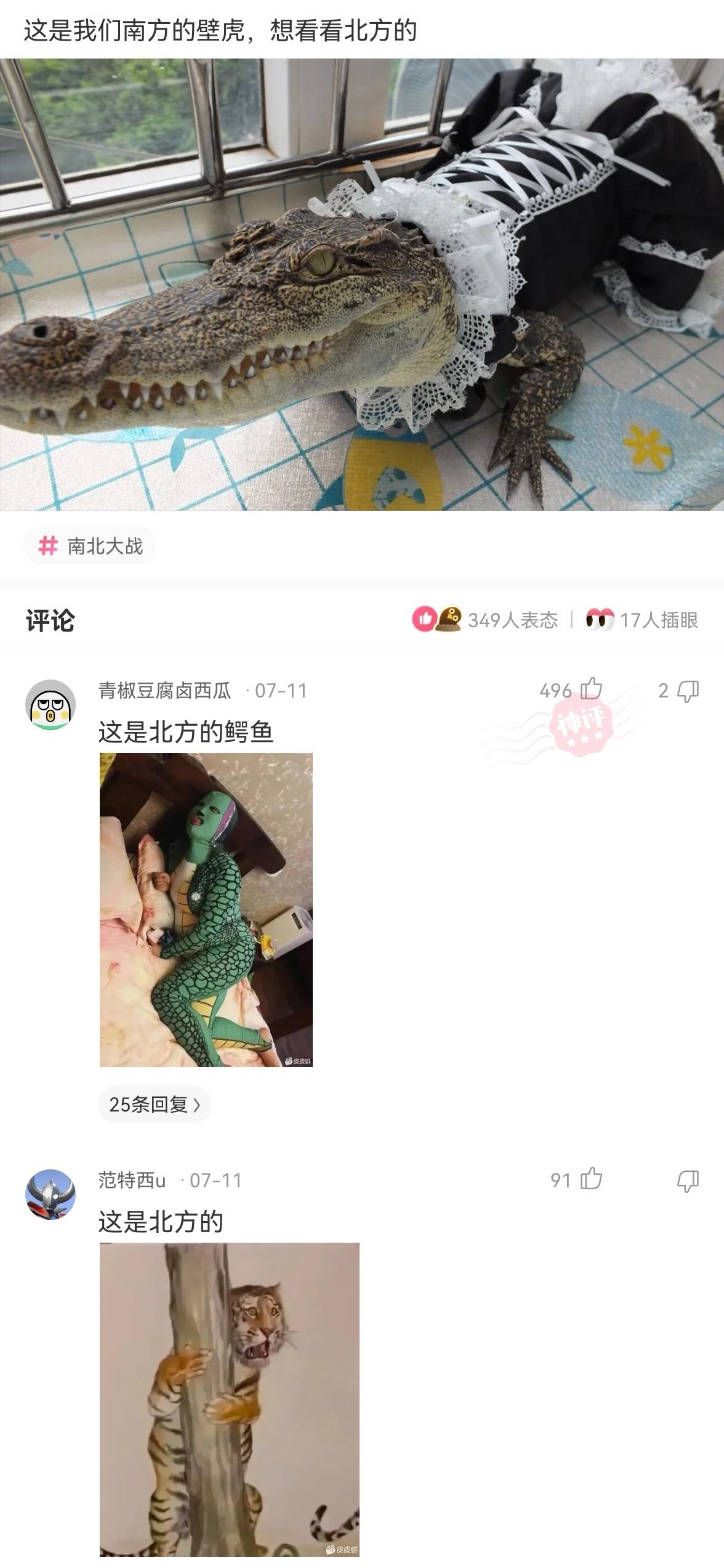 搞笑神评女孩子,搞笑日本妹子对话