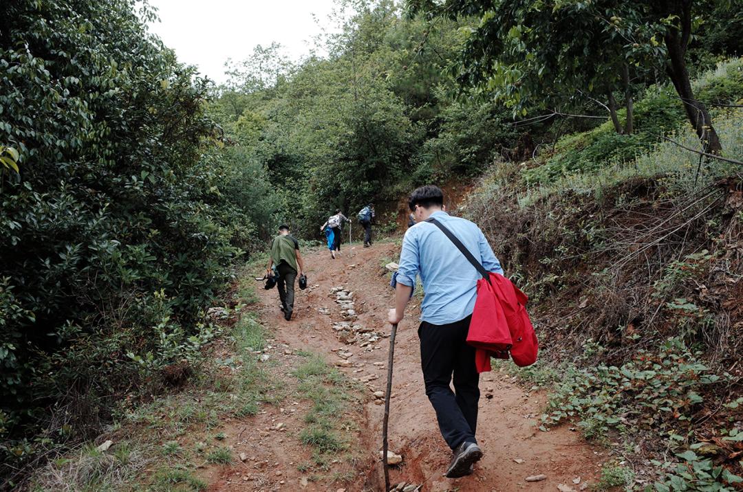 吃毒菇、睡蛇窝，只为挖一堆草，这个重庆博士要做当代神农