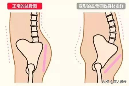 你的体型出卖了你生活态度,你身材和相貌出卖了你的生活层次