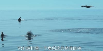 豆瓣9.8分悬疑大片,窥探电视剧豆瓣评分