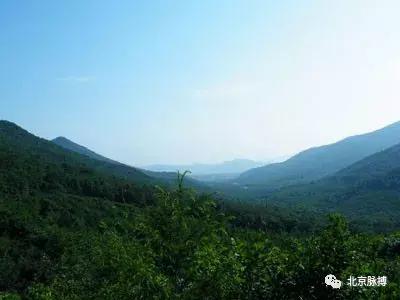 北京国家森林公园风景,画说北京故事