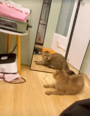 上厕所没有厕纸只能用绳子,上厕所没有卫生纸能用吗