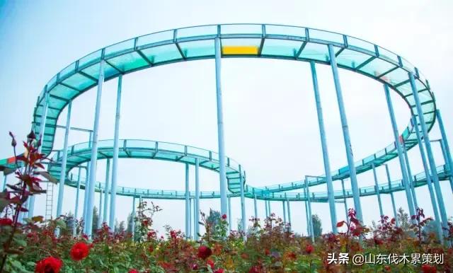 日照花仙子打卡地,日照东夷小镇旅游攻略