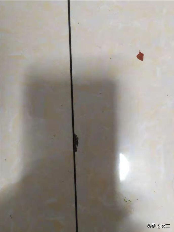 2021家庭全屋装修瓷砖,2021年瓷砖装修效果图