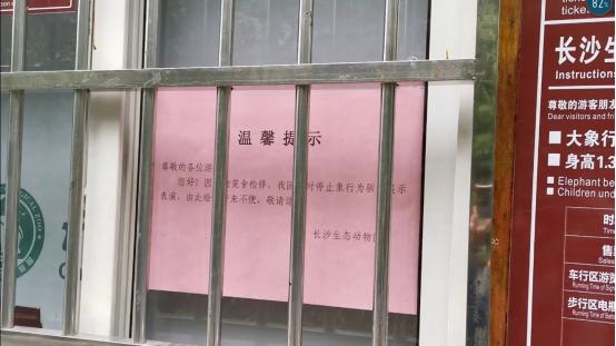 长沙动物园大象踩死人事件：官方称疑似56岁雄象发情导致悲剧；动保人士呼吁取消动物表演